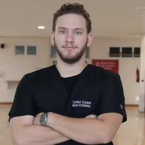 Arthur Cardoso Cruvinel Silva