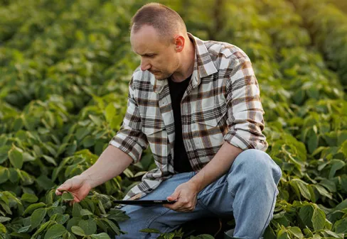 Eu Vou Ser Gestor de Agronegócio