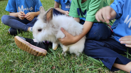 HVU participa de atividade educativa no Colégio Marista com crianças do Infantil 4
