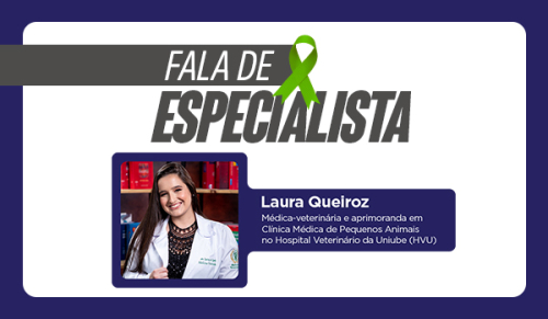 Agosto Verde Claro: mês de conscientização, prevenção, diagnóstico precoce e controle da Leishmaniose Visceral