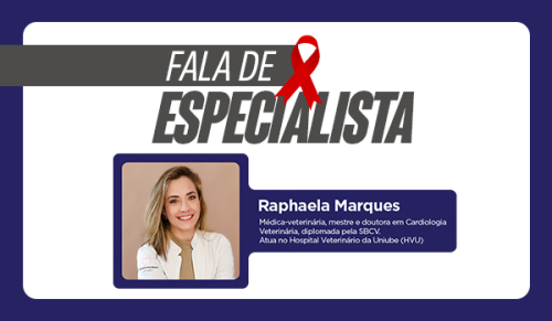 Setembro Vermelho: mês de conscientização sobre a Saúde Cardiovascular Pet
