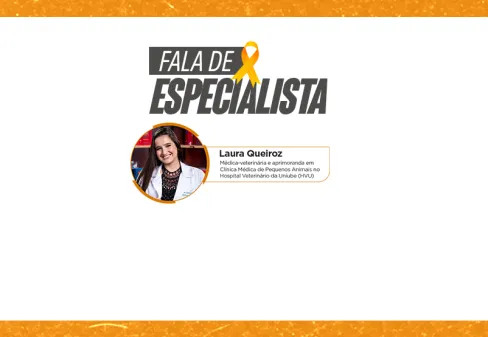 Fevereiro Laranja: mês de conscientização sobre a leucemia felina (FeLV)