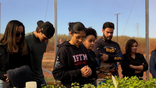 Alunos de Agronomia de Uberlândia participam de aula prática sobre Entomologia Agrícola na Cidade do Agro