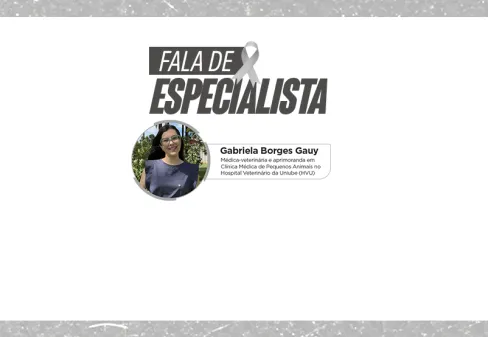 Janeiro Branco Pet: mês de conscientização sobre saúde mental de cães e gatos