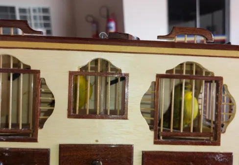 HVU acompanha apreensão de 17 canários-da-terra na BR-050