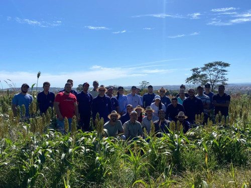Polo de Silvânia promove Dia de Campo sobre cultura do sorgo