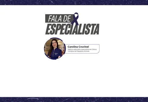 Novembro Azul Pet: conscientização sobre o câncer de próstata em cães e gatos