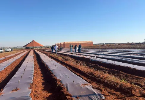 Projeto com a Embrapa Cerrados inicia nova etapa na Cidade do Agro