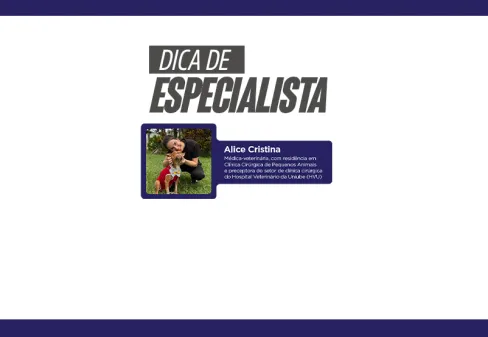 Dicas de Especialista: principais cuidados com os pets durante o Carnaval