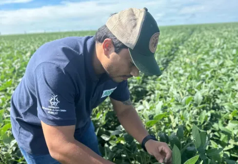 Polo de Silvânia amplia práticas, pesquisa e extensão no agro