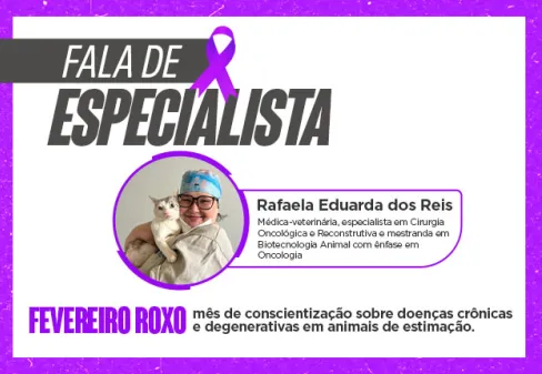 Capa da notícia