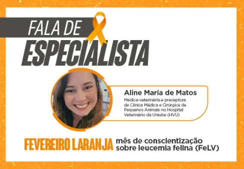 Capa da notícia