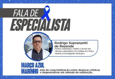 Capa da notícia
