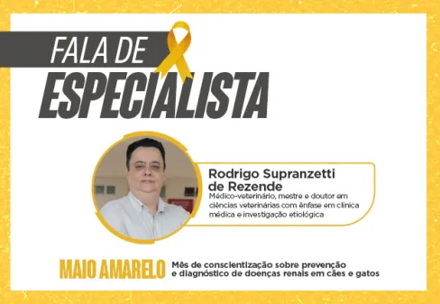 Capa da notícia