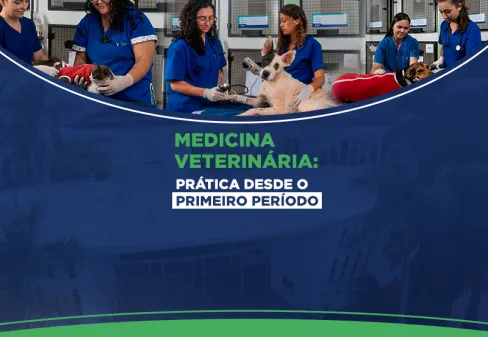 medicina veterinária