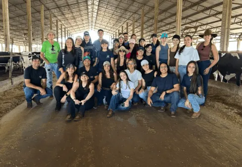 uberlândia
